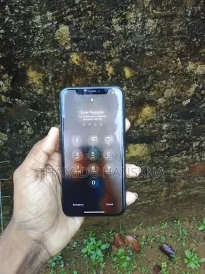 Apple iPhone X (Used)