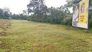 Super Residential Land for Sale in Eheliyagoda