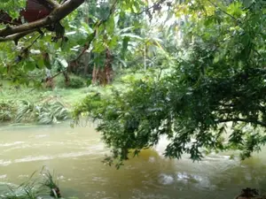 Land Sale Hanwella