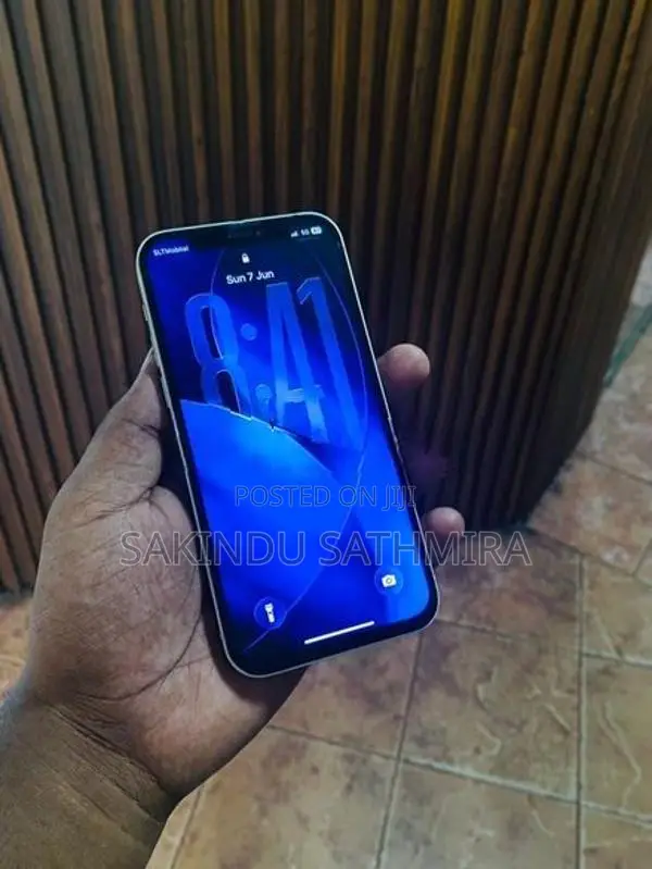 Apple iPhone 12 (Used)