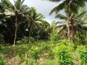 Land Sale Hanwella