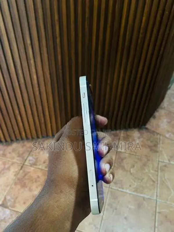 Apple iPhone 12 (Used)