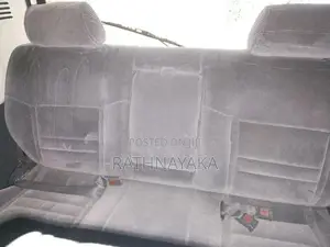 Dolphin Adjustable Seat Set