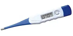Digital Thermometer