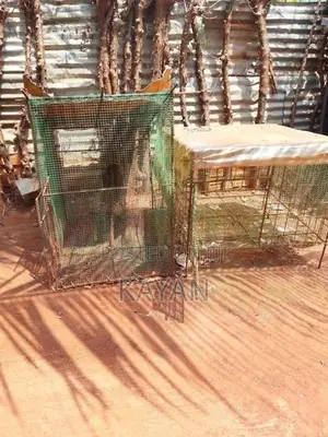 Koodukal