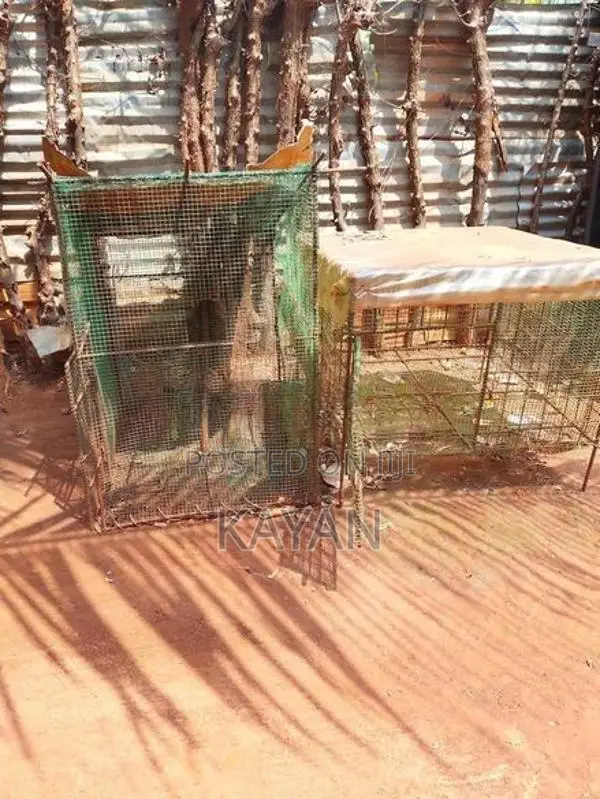Koodukal