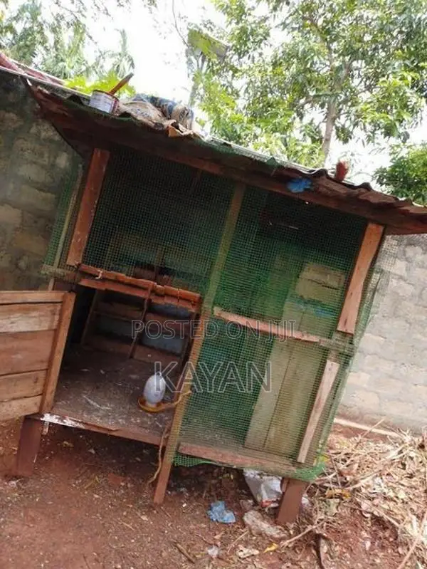 Koodukal