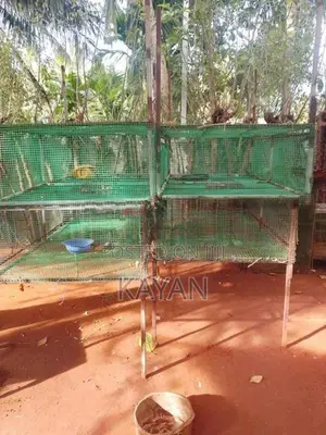 Koodukal