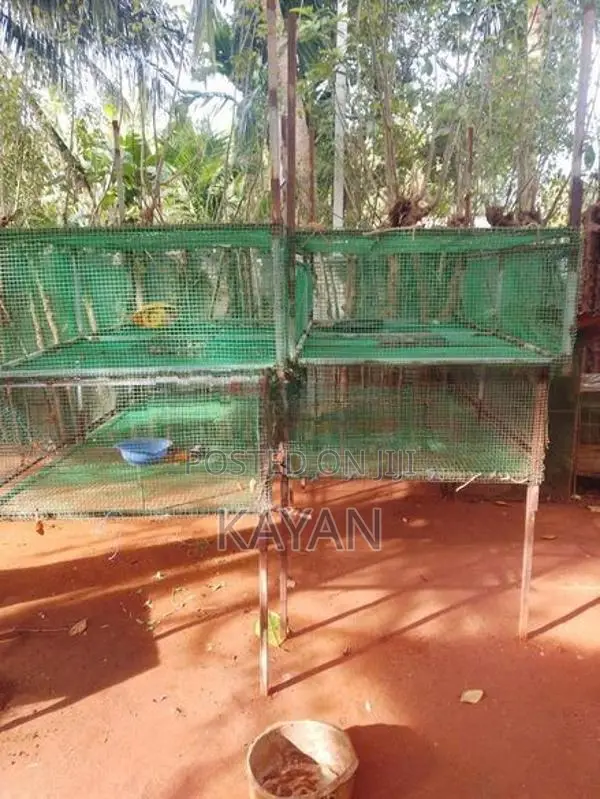 Koodukal