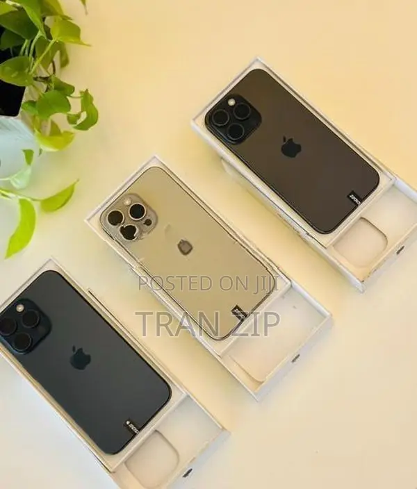 Apple iPhone 15 Pro Max 256GB (Used)