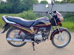 Hero Passion Plus 2005