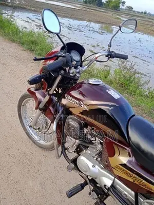 Hero Passion Plus 2005