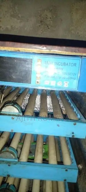 Automatic Incubator
