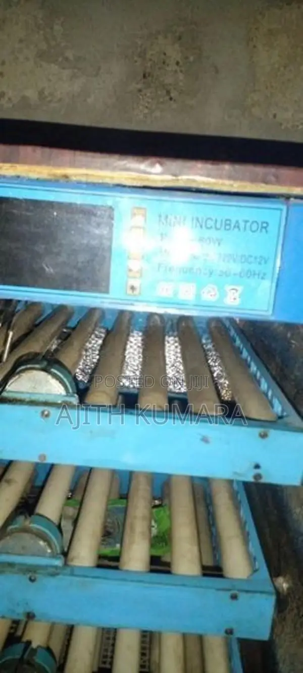Automatic Incubator