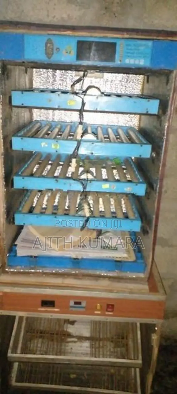 Automatic Incubator