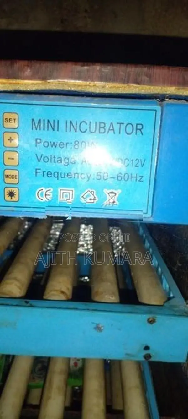 Automatic Incubator
