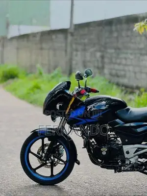 Bajaj Pulsar 180 2010