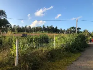 Land for Sale in Andiambalama