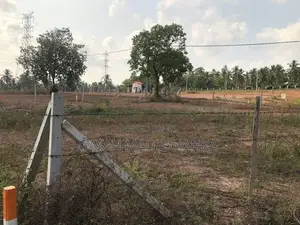Land for Sale in Andiambalama