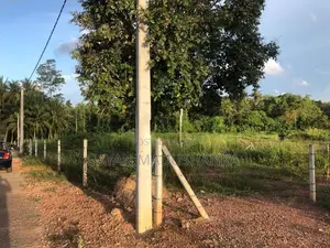 Land for Sale in Andiambalama
