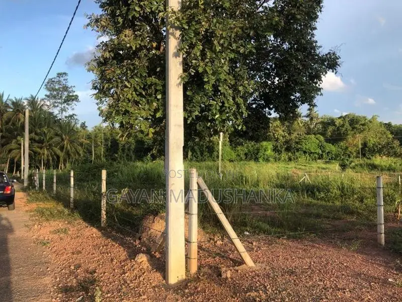 Land for Sale in Andiambalama