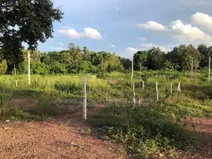 Land for Sale in Andiambalama