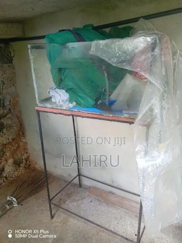 Fish Tank