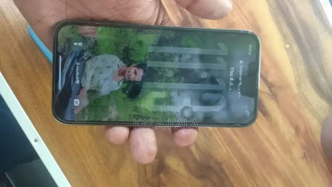 Apple iPhone 13 Pro 256GB (Used)