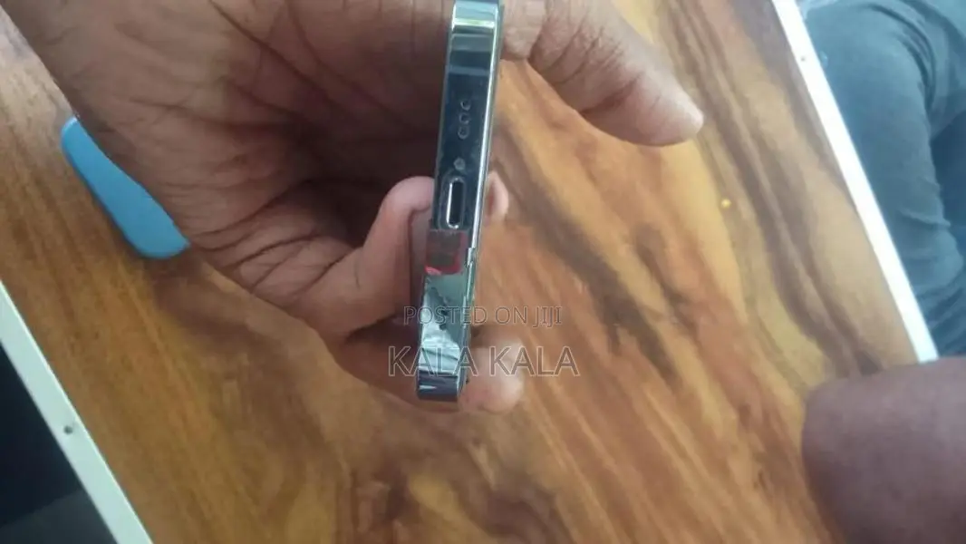 Apple iPhone 13 Pro 256GB (Used)