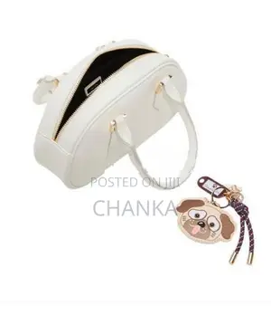 Aldo Hand Bag
