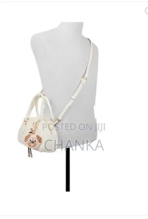 Aldo Hand Bag