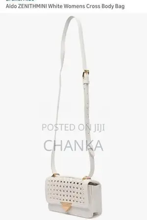 Aldo Hand Bag