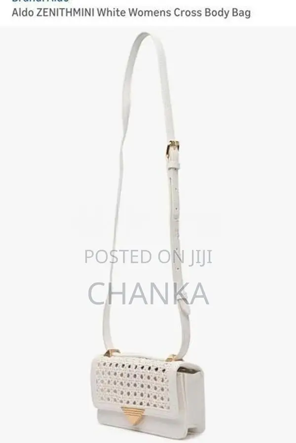 Aldo Hand Bag