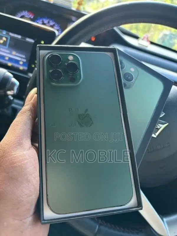 Apple iPhone 13 Pro Max (Used)