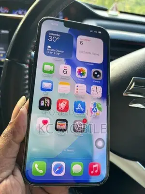Apple iPhone 13 Pro Max (Used)