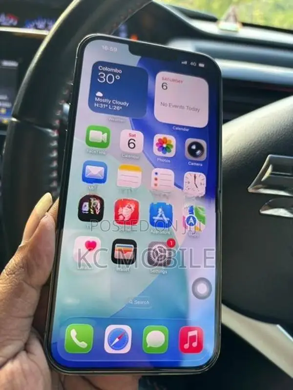 Apple iPhone 13 Pro Max (Used)
