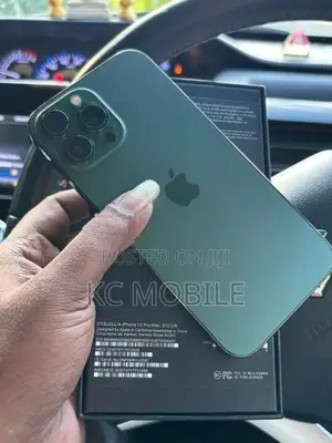 Apple iPhone 13 Pro Max (Used)