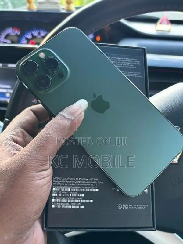 Apple iPhone 13 Pro Max (Used)
