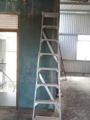 Steel Ladder