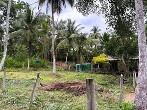 ගම්පහ – කිරිදිවැලින් වටිනා ඉඩමක් විකිණීමට