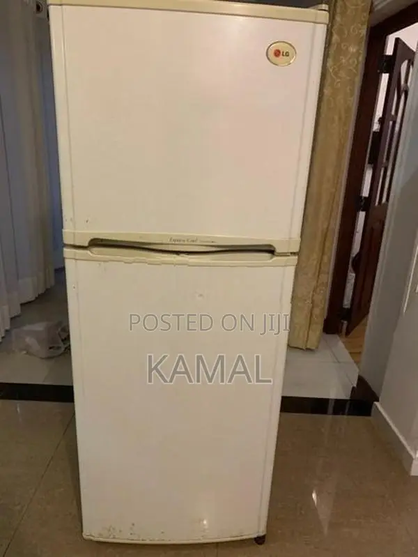 Express Cool GR-242MVF Fridge