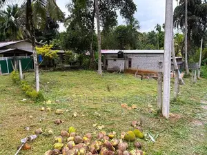 ගම්පහ – කිරිදිවැලින් වටිනා ඉඩමක් විකිණීමට
