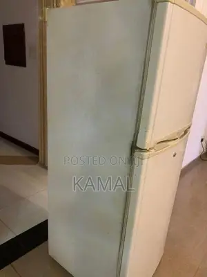 Express Cool GR-242MVF Fridge