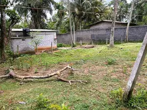 ගම්පහ – කිරිදිවැලින් වටිනා ඉඩමක් විකිණීමට