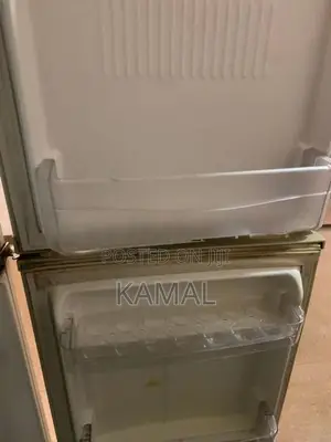 Express Cool GR-242MVF Fridge