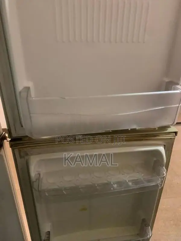 Express Cool GR-242MVF Fridge