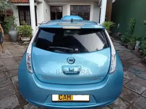 Nissan Leaf 2013