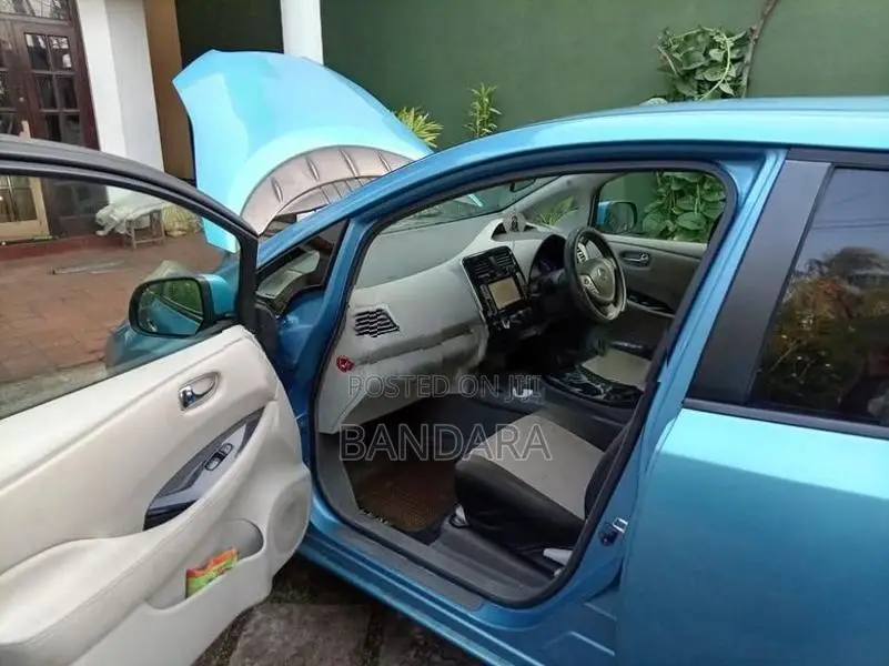 Nissan Leaf 2013