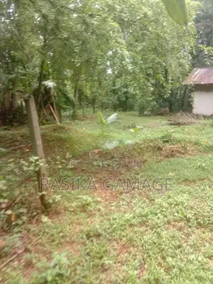 අවිස්සාවේල්ල ඉඩමක් විකිණීමට