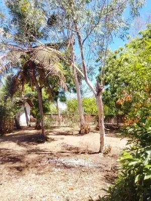 Land for Sale - Palamumai 02